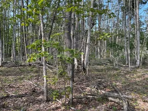 V/l 2.06ac Estelle Road, Gaylord, MI 49735