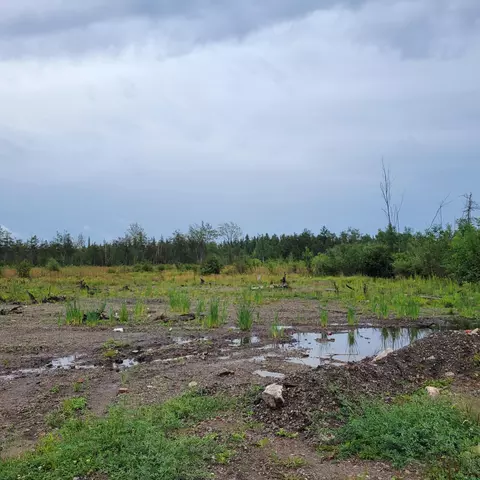 V/l 40ac Hamilton Road, Alpena, MI 49707