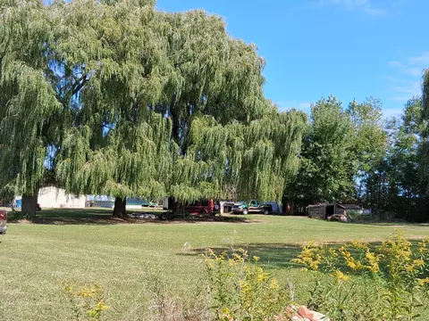 2854 Oberlin Rd, Gladwin, MI 48624 photo 20