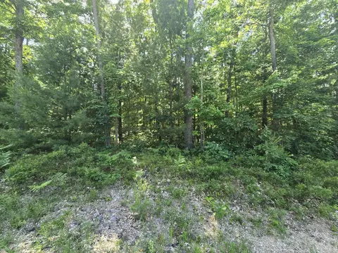 Undisclosed, Roscommon, MI 48653 photo 5