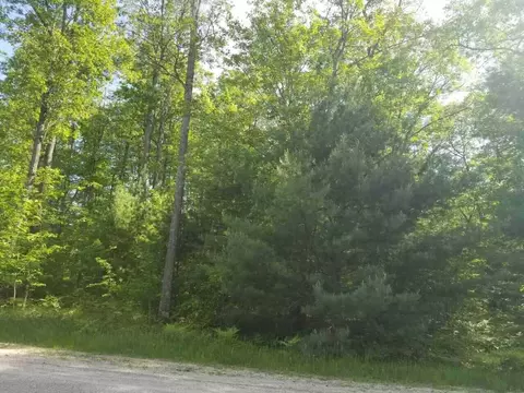 Undisclosed, Roscommon, MI 48653 photo 6