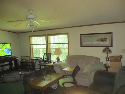Living - 5016 Laran Ln, Frederic, MI 49733 photo 5 of 6