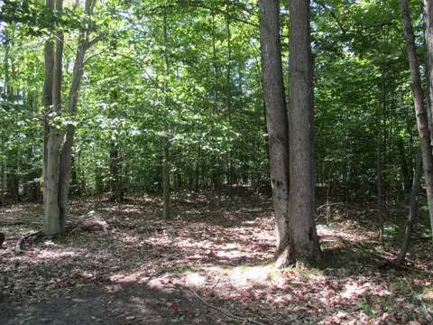 Exterior - 5016 Laran Ln, Frederic, MI 49733 photo 12 of 13