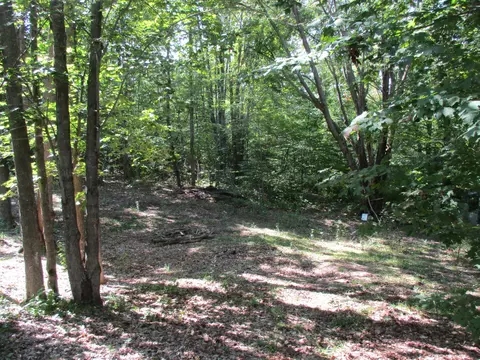 Exterior - 5016 Laran Ln, Frederic, MI 49733 photo 8 of 13