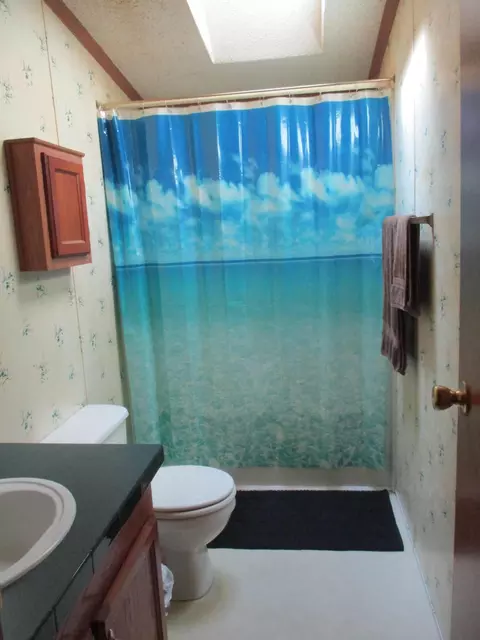 Bath - 5016 Laran Ln, Frederic, MI 49733 photo 3 of 3