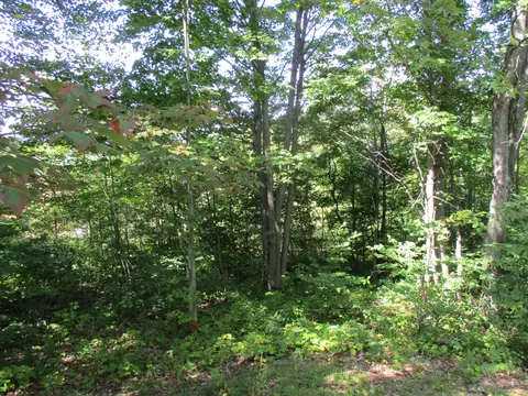Exterior - 5016 Laran Ln, Frederic, MI 49733 photo 7 of 13