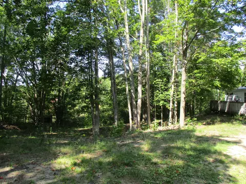 Exterior - 5016 Laran Ln, Frederic, MI 49733 photo 11 of 13