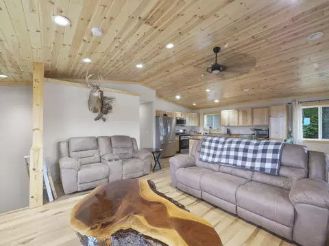 Living - 10468 Scott Rd, Wolverine, MI 49799 photo 2 of 3