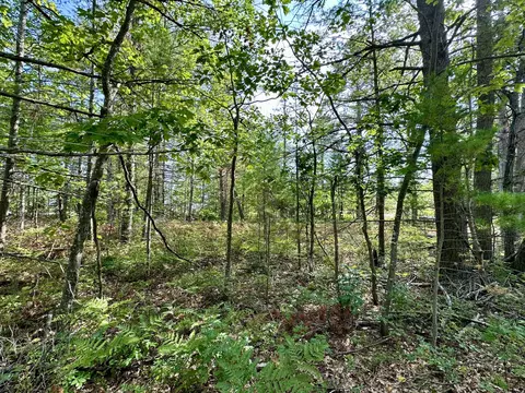 3286 Edgewater Dr, Cheboygan, MI 49721 photo 18