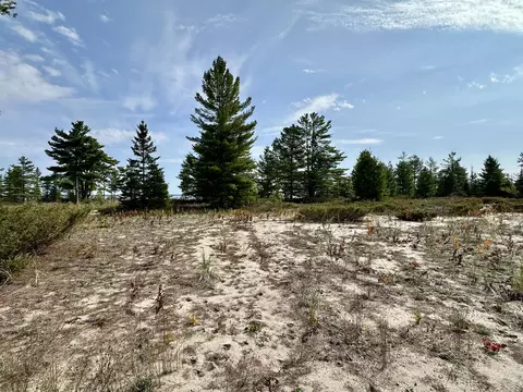 3286 Edgewater Dr, Cheboygan, MI 49721 photo 3