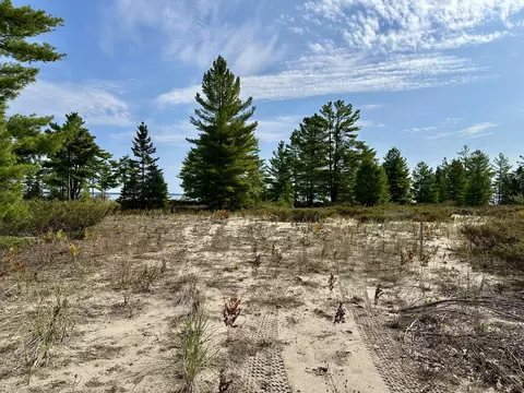 3286 Edgewater Dr, Cheboygan, MI 49721 photo 16