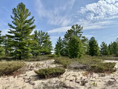 3286 Edgewater Dr, Cheboygan, MI 49721 photo 15