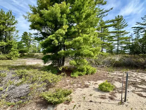 3286 Edgewater Dr, Cheboygan, MI 49721 photo 9