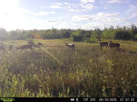 V/l 120ac Bolton Road, Posen, MI 49776