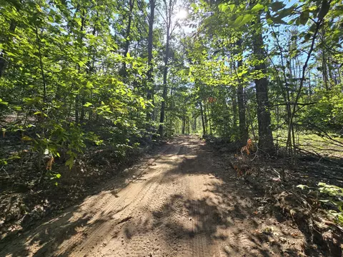 8563 Lewis Rd #40 ACRES, Vanderbilt, MI 49795 photo 10