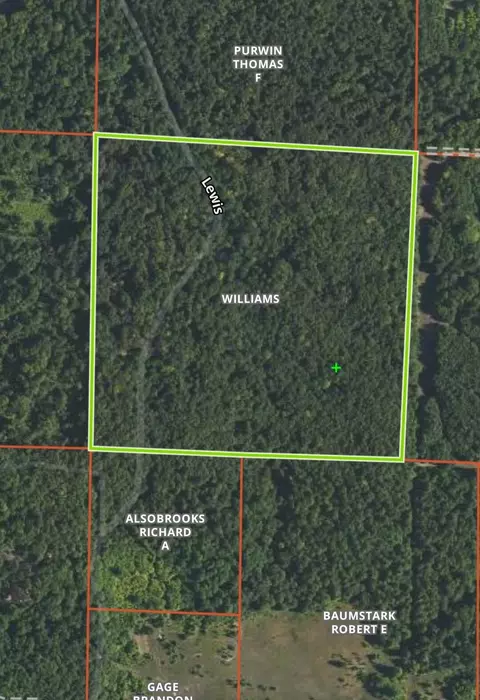 8563 Lewis Rd #40 ACRES, Vanderbilt, MI 49795 photo 15
