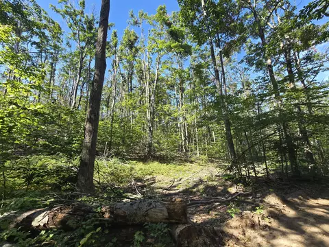 8563 Lewis Rd #40 ACRES, Vanderbilt, MI 49795 photo 9