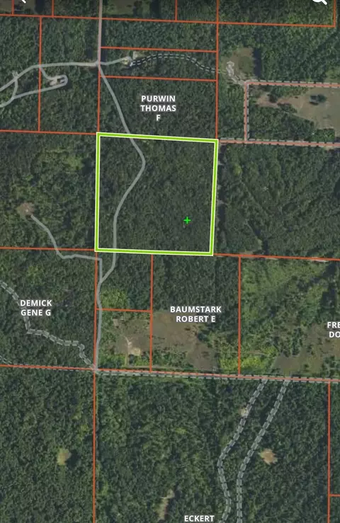 8563 Lewis Rd #40 ACRES, Vanderbilt, MI 49795 photo 14