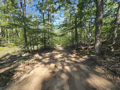 8563 Lewis Rd #40 ACRES, Vanderbilt, MI 49795 photo 7