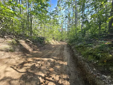 8563 Lewis Rd #40 ACRES, Vanderbilt, MI 49795 photo 6
