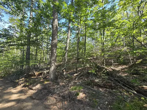 8563 Lewis Rd #40 ACRES, Vanderbilt, MI 49795 photo 8