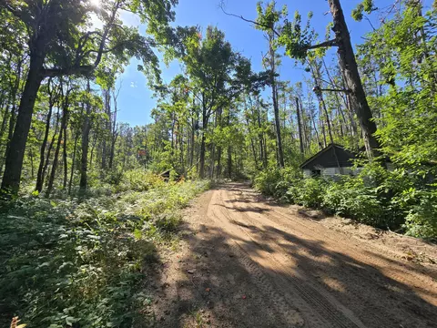 8563 Lewis Rd #40 ACRES, Vanderbilt, MI 49795 photo 5