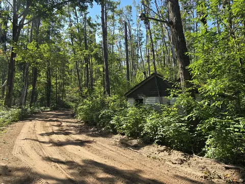 8563 Lewis Rd #40 ACRES, Vanderbilt, MI 49795