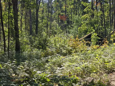 8563 Lewis Rd #40 ACRES, Vanderbilt, MI 49795 photo 4