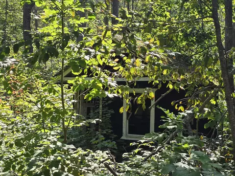 8563 Lewis Rd #40 ACRES, Vanderbilt, MI 49795 photo 3