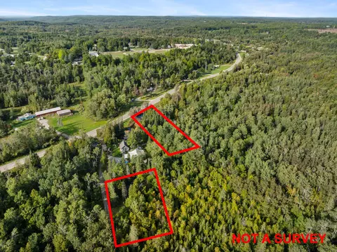 13363 Baird Rd, Wolverine, MI 49799 photo 33