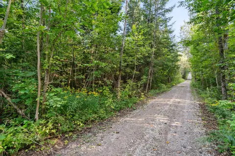 13363 Baird Rd, Wolverine, MI 49799 photo 43