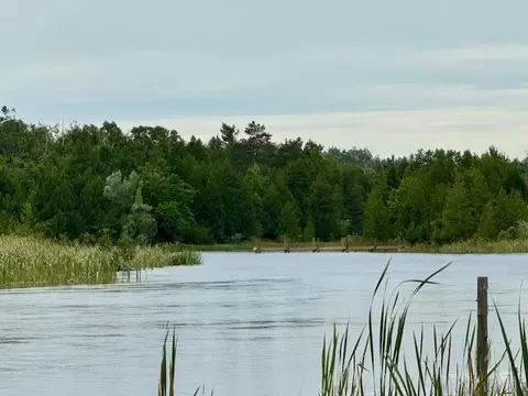 lot12 Lower Mograin, Cheboygan, MI 49721
