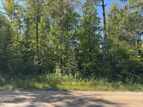103 Sherwood Dr, Hale, MI 48739