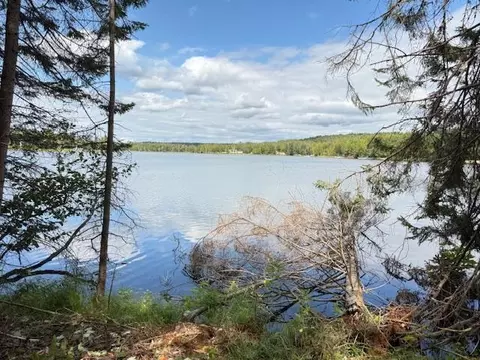15798 Lakeview Dr, Wolverine, MI 49799