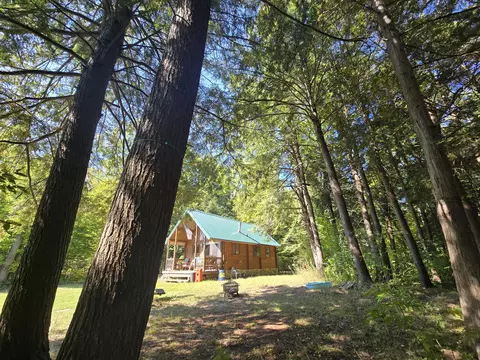 Exterior - 3807 Kamen Trl, Comins, MI 48619 photo 19 of 32