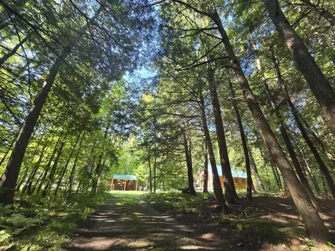 Exterior - 3807 Kamen Trl, Comins, MI 48619 photo 20 of 32