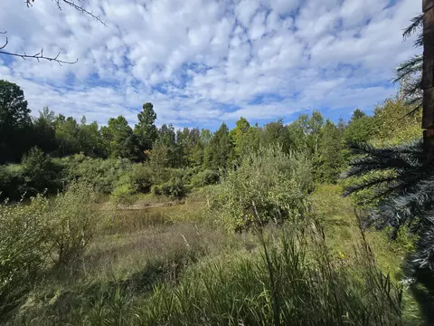 Exterior - 3807 Kamen Trl, Comins, MI 48619 photo 22 of 32