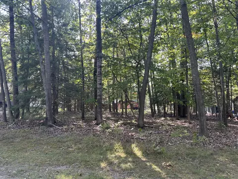 V/l L16-17 North Owl Road, Lincoln, MI 48742