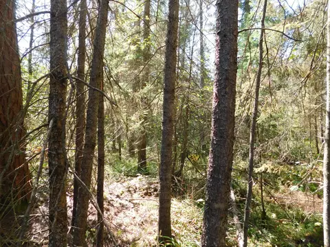 V/L 37.79A Hopkins Lodge Trail #37.79 AC, Grayling, MI 49738