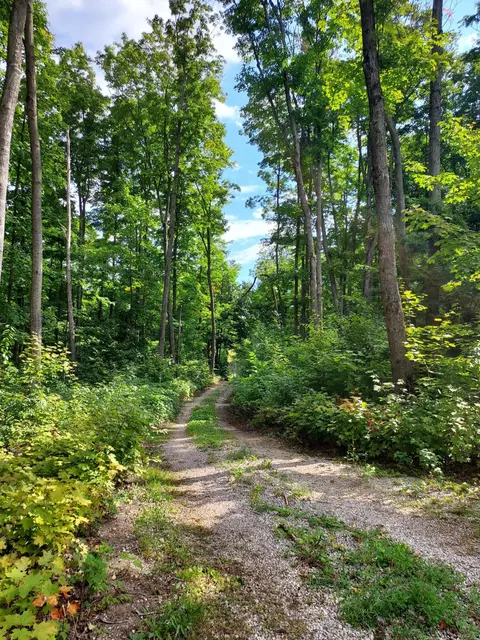 3580 Jordan River Rd, Elmira, MI 49730