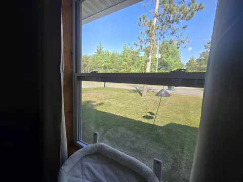 1401 8th Street St, Mio, MI 48647 photo 9