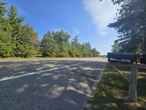 1401 8th Street St, Mio, MI 48647 photo 54