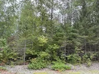 lot S 35-37 E Grand Lake Rd, Presque Isle, MI 49777