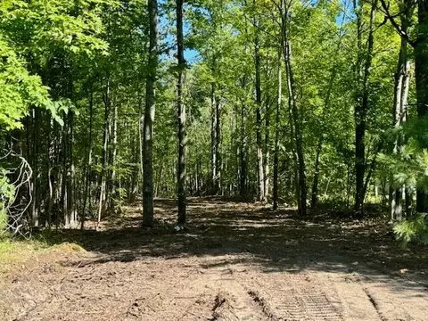 Parcel C Long Lake Rd, Cheboygan, MI 49721