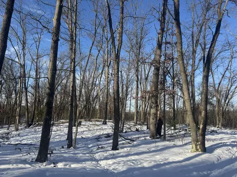 1015 Deklan Dr #6 ACRES, Mio, MI 48647