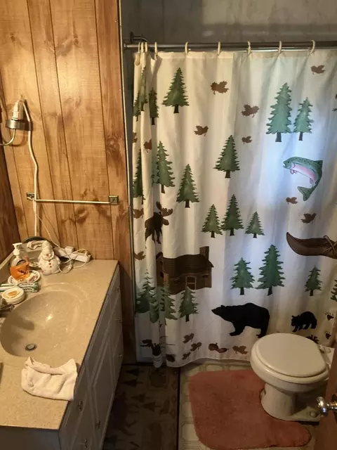 3358 S Stephan Bridge Rd, Grayling, MI 49738 photo 26