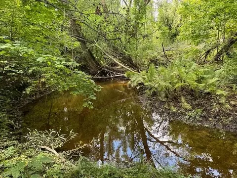 2 West Vfw Road, Cheboygan, MI 49721