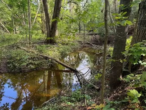 3 West Vfw Road, Cheboygan, MI 49721