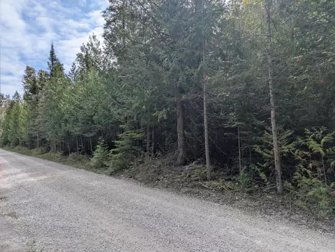 V/L 1.5 ac Lappan Road #1.5 ACRE, Alpena, MI 49707