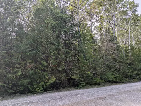 V/L .9 acr Lappan Road #.9 ACRES, Alpena, MI 49707